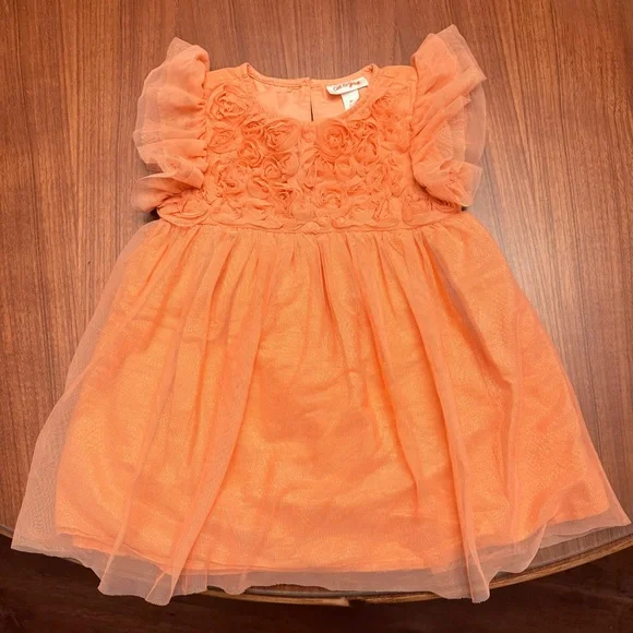 3T fancy / special occasion dress bundle - Picture 2 of 5